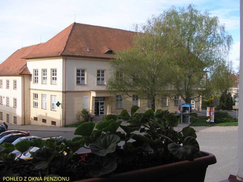 Penzion U Žabáka Mikulov Exterior foto