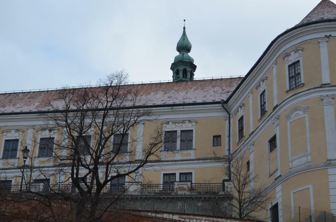 Penzion U Žabáka Mikulov Exterior foto